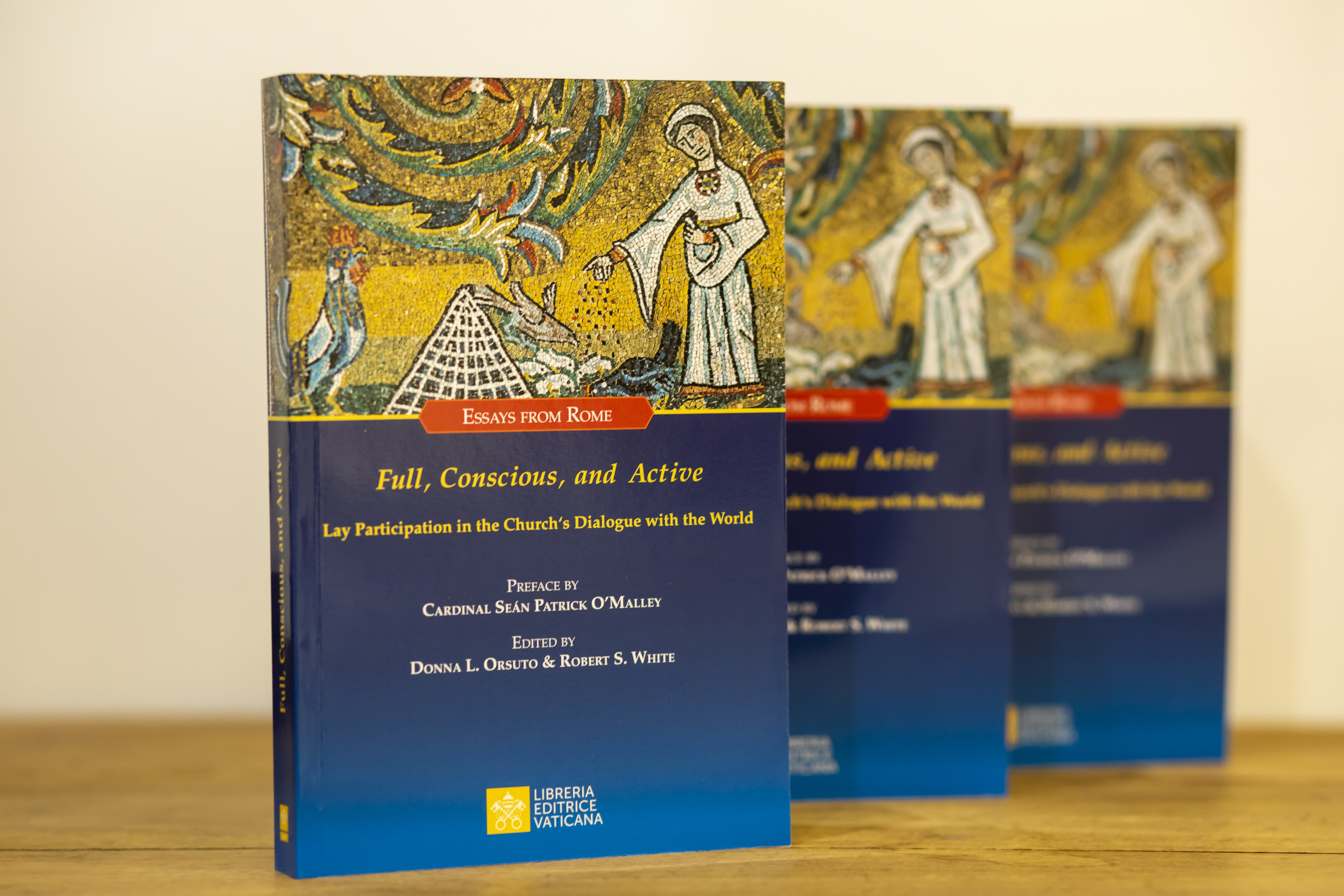 New book aims to encourage greater dialogue in the Church on the lay vocation