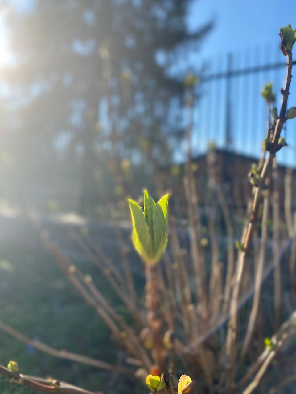 Filipe Domingues: ‘Remain in My Love’